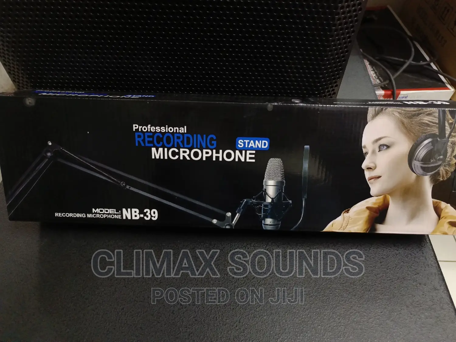 Professional Recording Stand Microphone