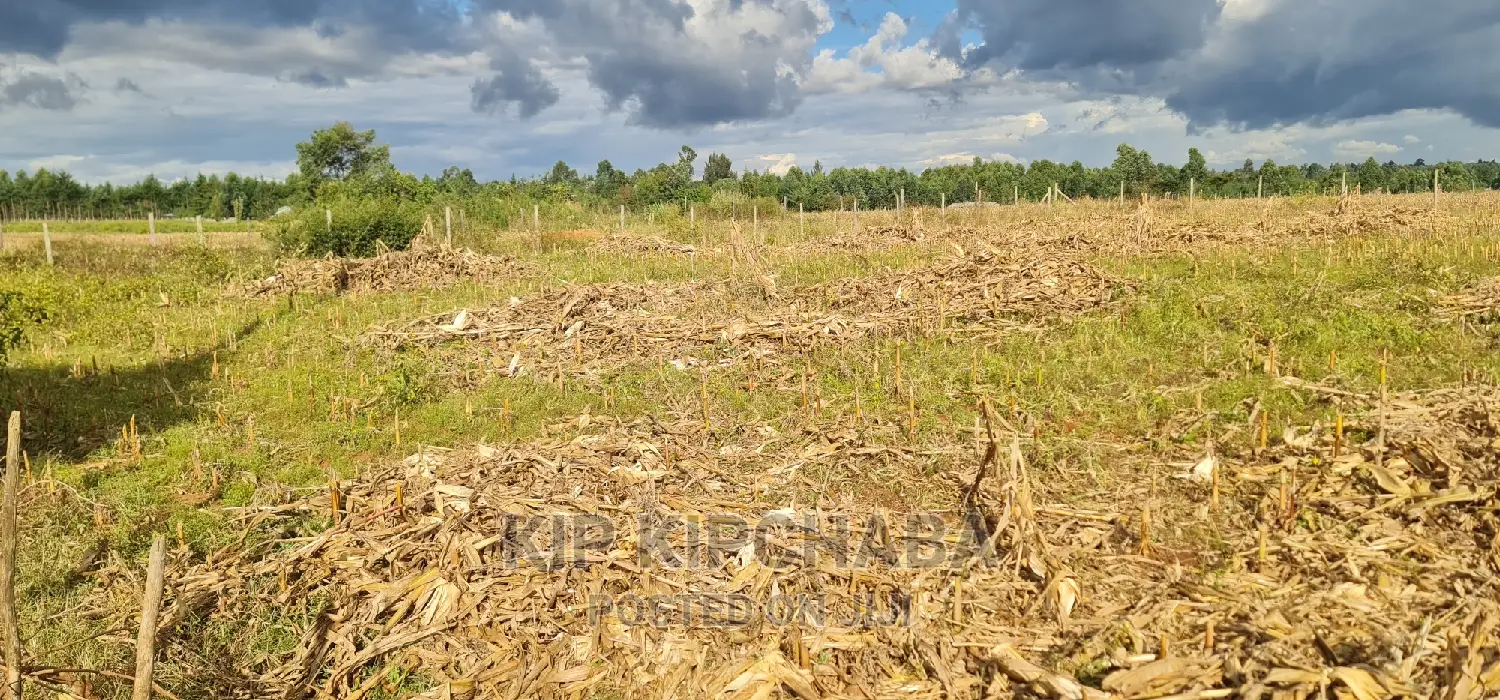 Plot for Sale in Kapseret Lemook Centre in Eldoret