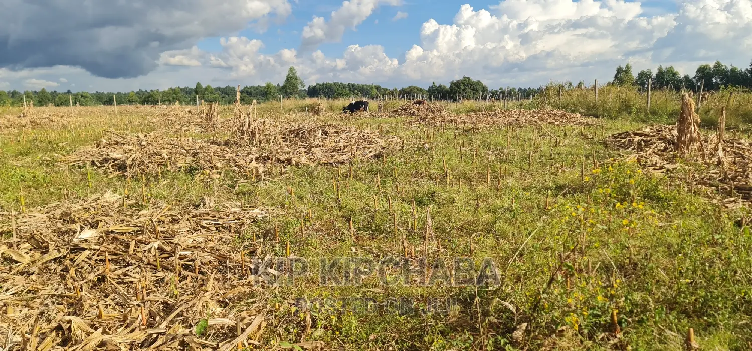 Plot for Sale in Kapseret Lemook Centre in Eldoret
