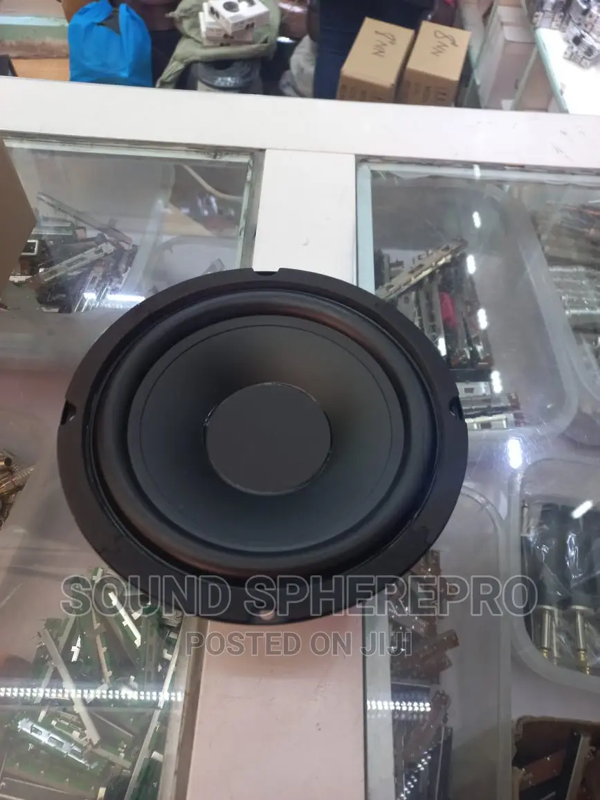 6 Inch Mid Speaker