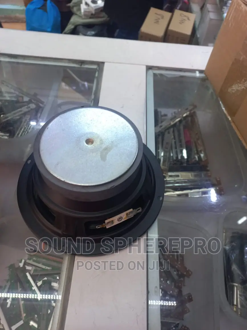 6 Inch Mid Speaker