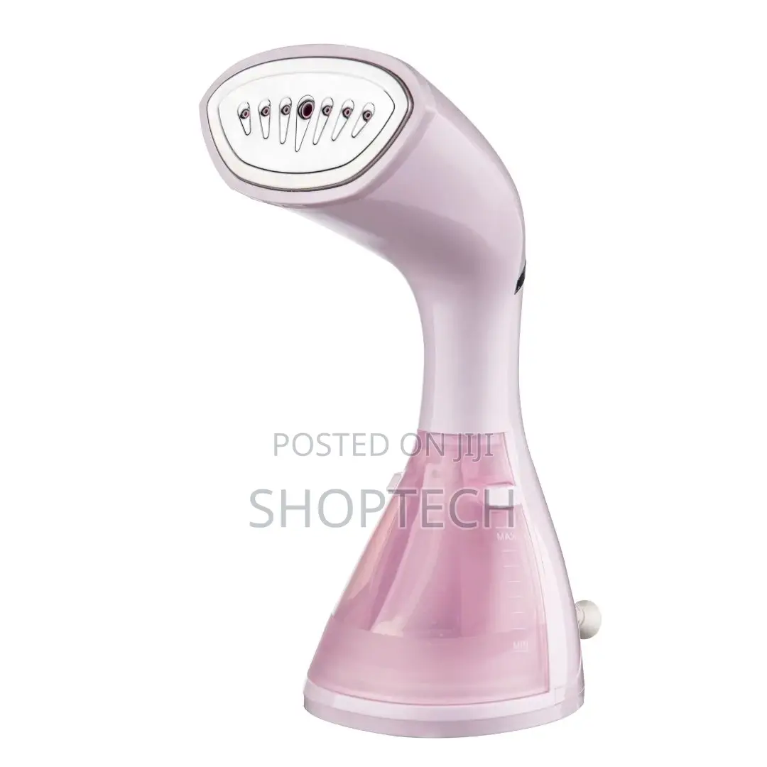 Rebune Garmet Steamers Available