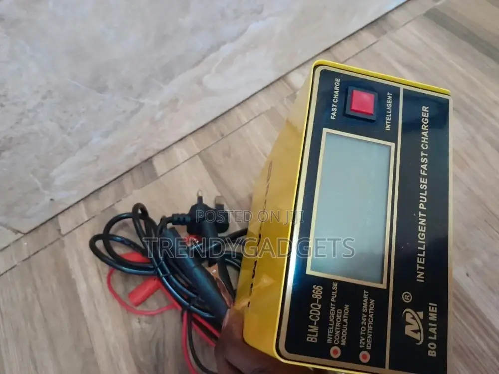 BOLAIMEI Charger Aki Mobil Motor Lead Acid 12v/24v 200AH