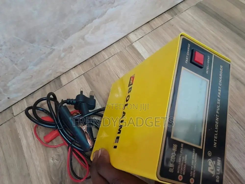 BOLAIMEI Charger Aki Mobil Motor Lead Acid 12v/24v 200AH