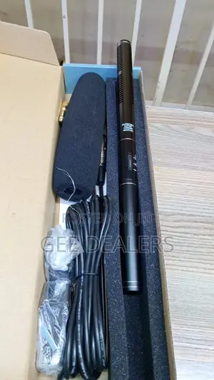 Boom Portable Microphone