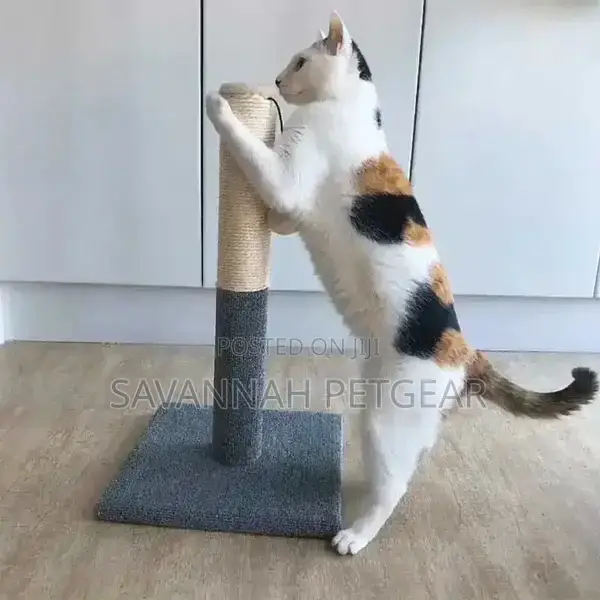 Simple Jute Cat Scratching Post With Hanging Toy 0.67m