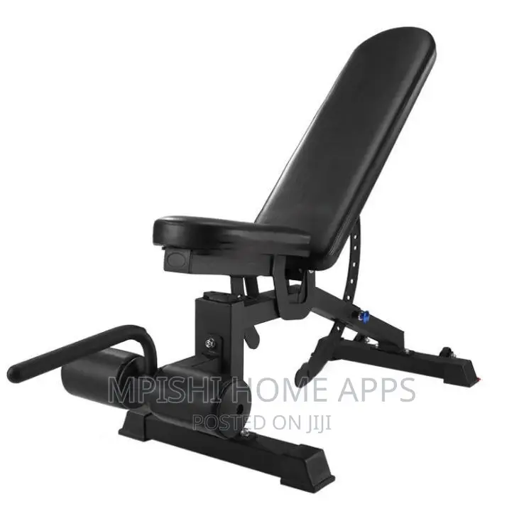 Adjustable Dumbbell Exercise Bench