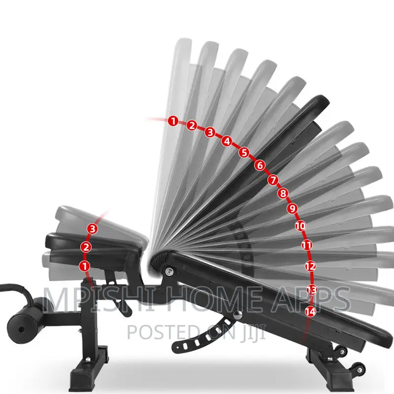 Adjustable Dumbbell Exercise Bench