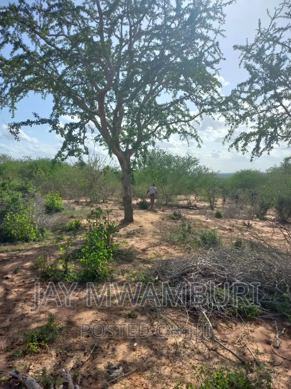 200 Acres Lango Baya Malindi