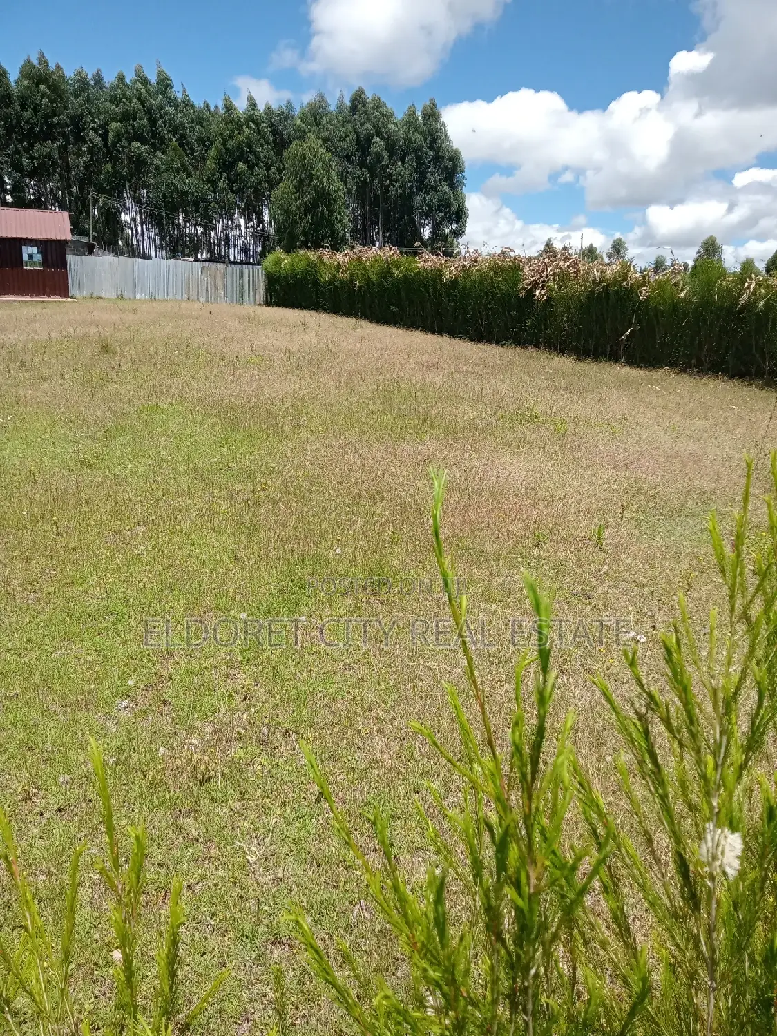 1/4 Plot Kiplombe With Title 100 Metres From Tarmac