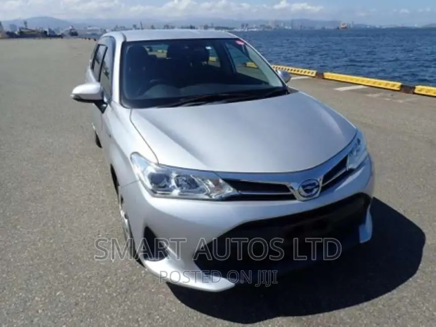 Toyota Corolla Fielder 2018 Silver