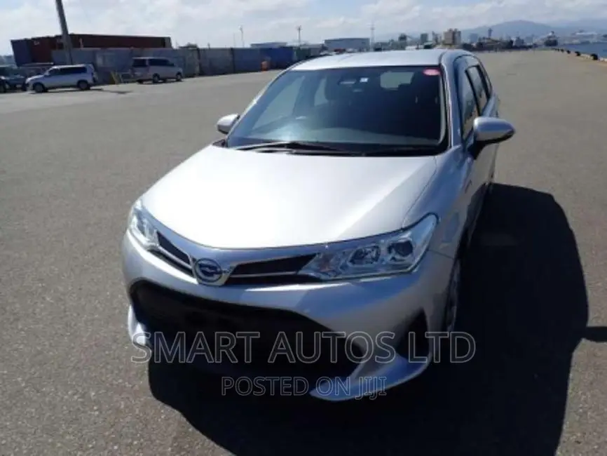 Toyota Corolla Fielder 2018 Silver