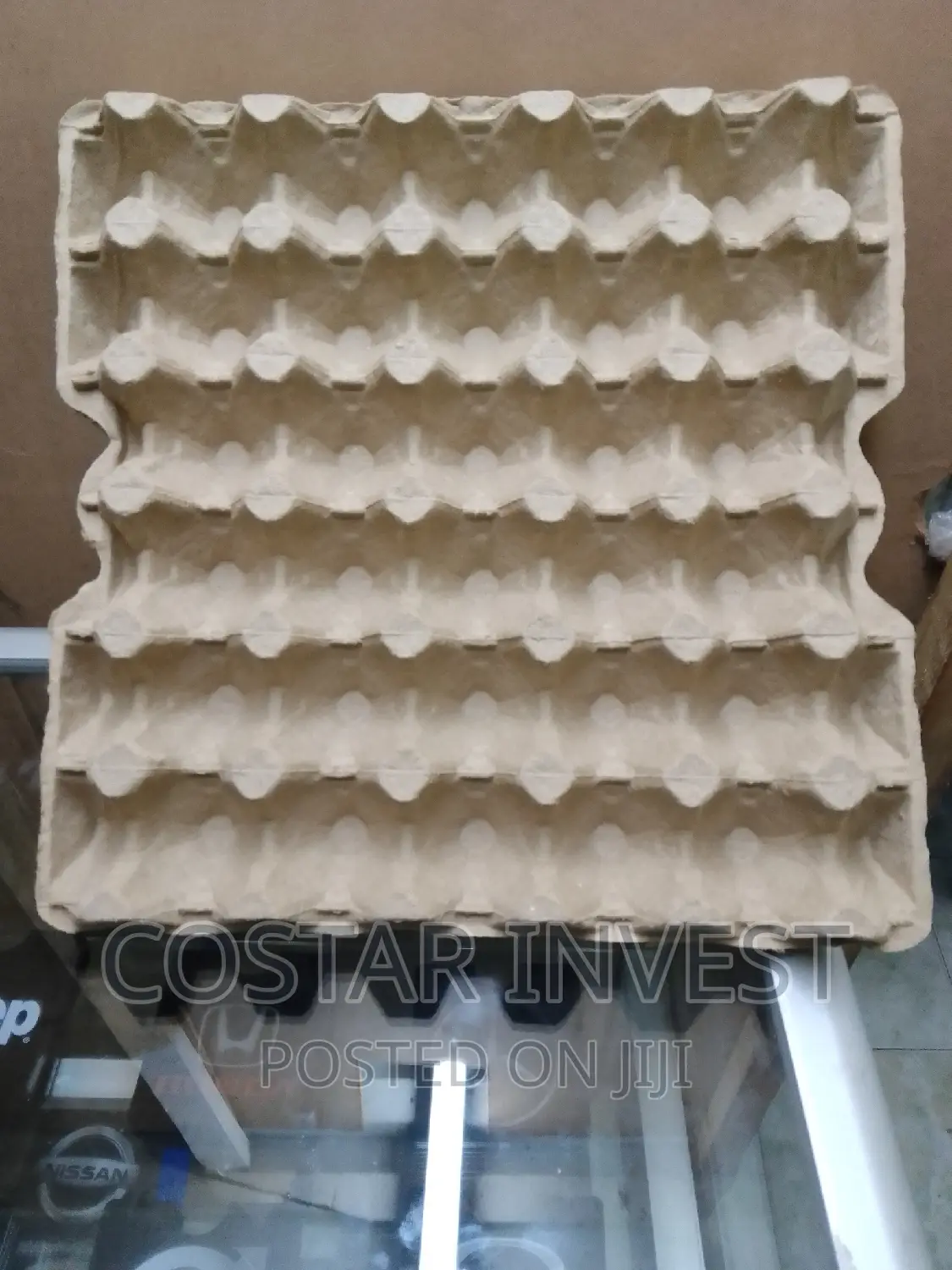 Paper/Carton Egg Trays-Minimum Order 300 PCS