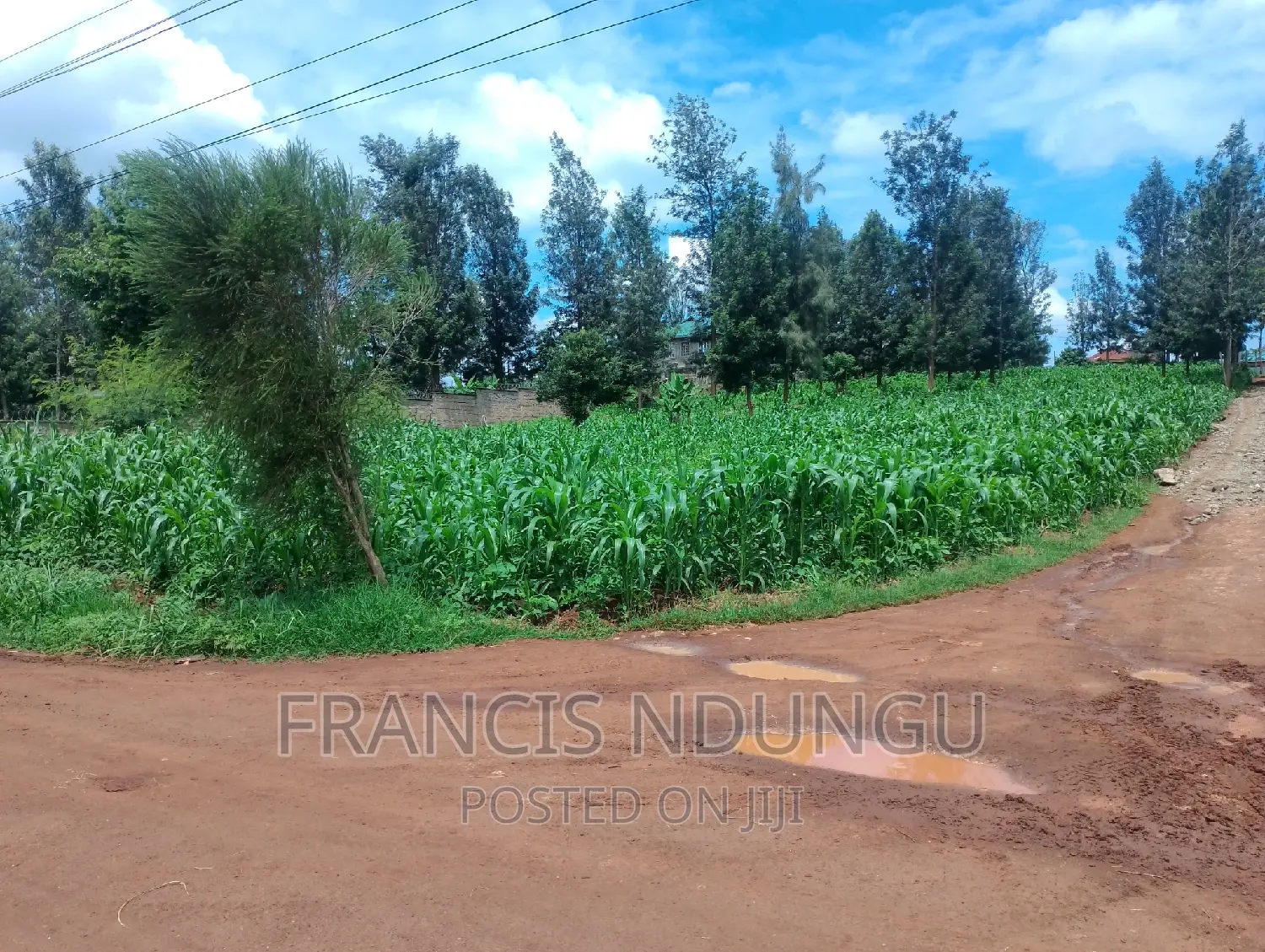 50x100 Residential Plot for Sale in Mugumo Estate Kamiti