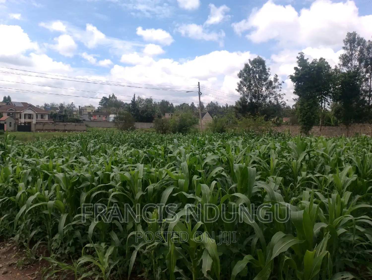 50x100 Residential Plot for Sale in Mugumo Estate Kamiti