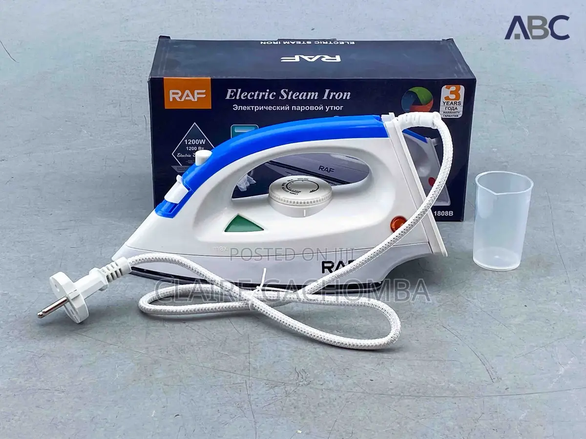 Electric Steam Iron Box
