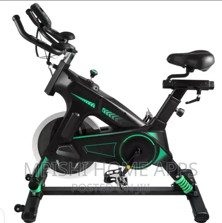 Stationary/Swing Excercise Bike