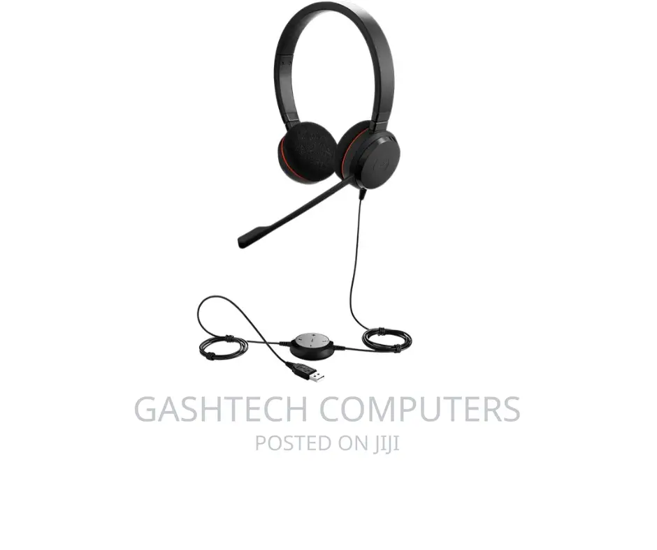 Jabra Evolve 20 Headsets^Jabra Evolve 20 Headsets