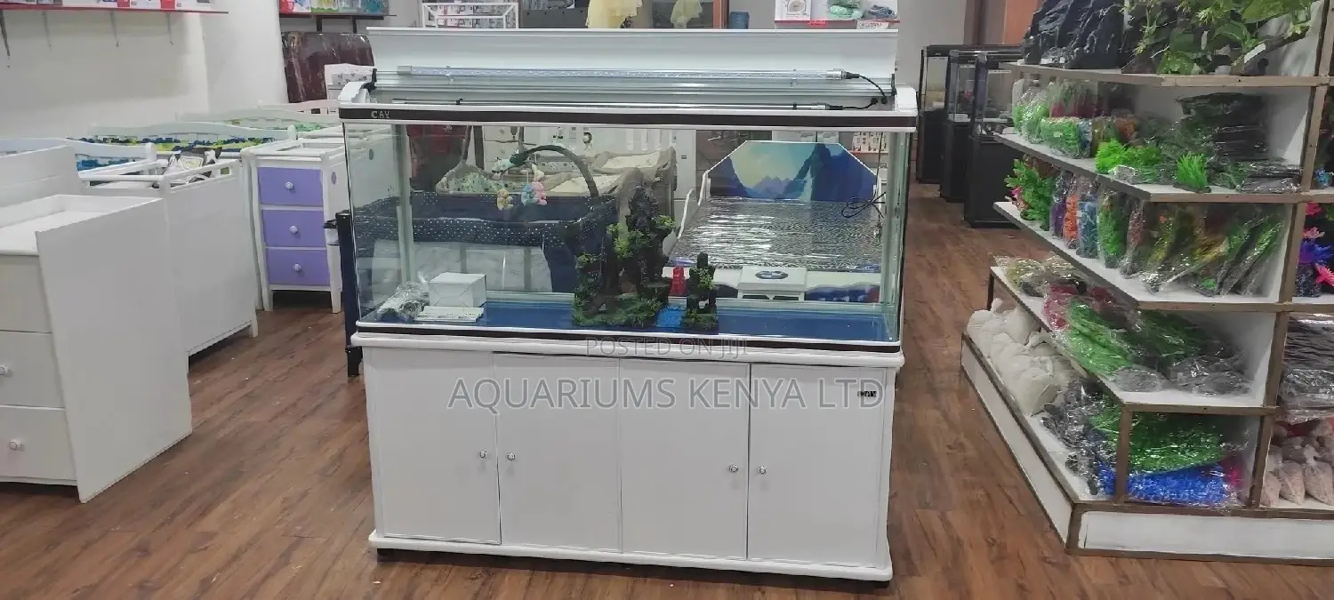 Imported 5ft Tank , Curved Front Edges
