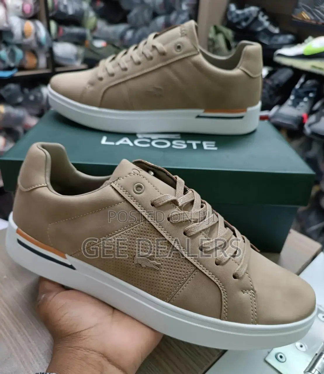 Lacoste Casual Shoes Size 40-45