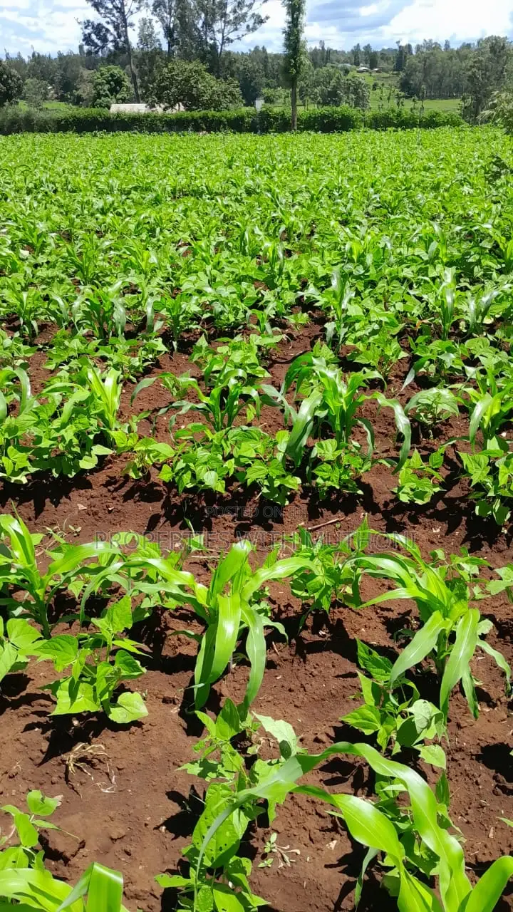 1acre for Sale in Labour, Kandongu, Kianjogu Mwea