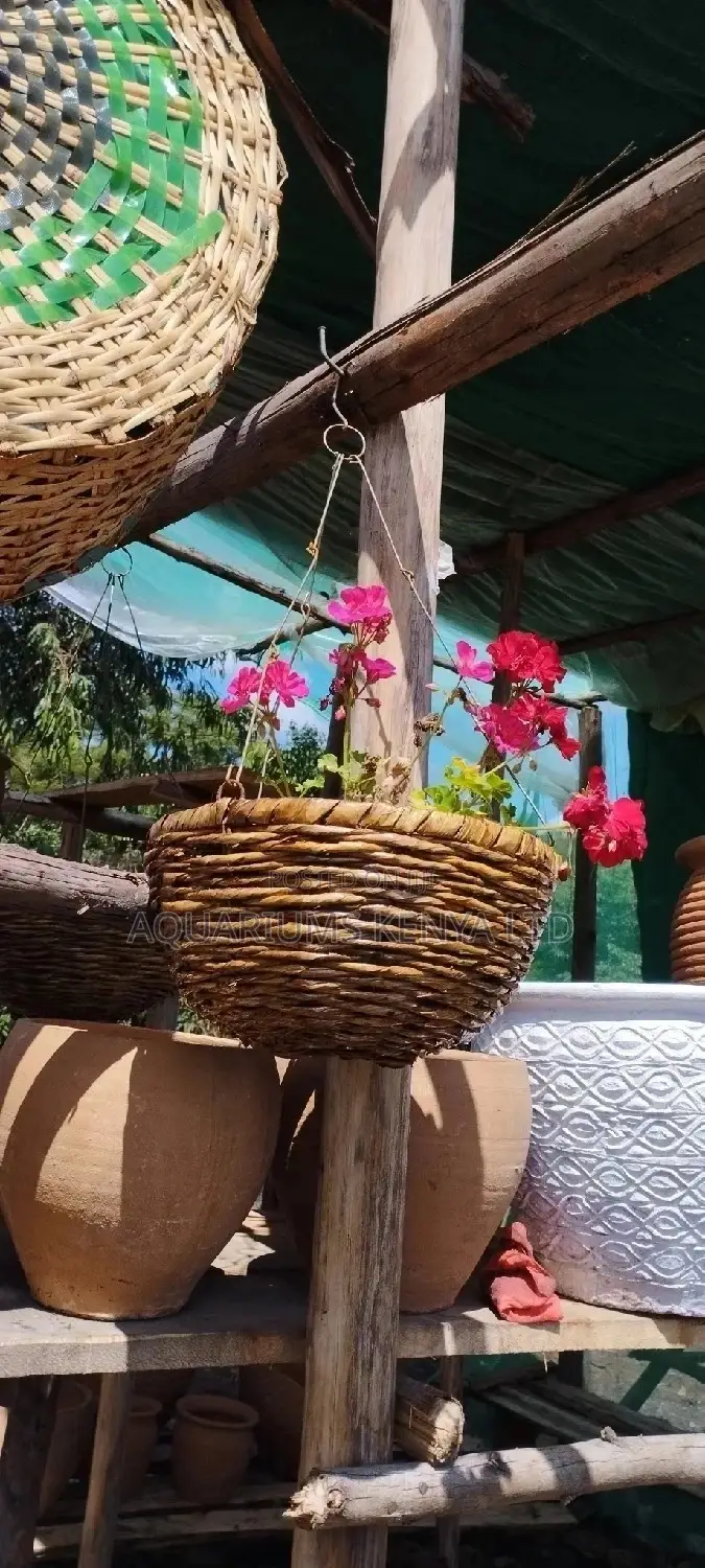 Hanging Baskets With Red,Pink Flowers,