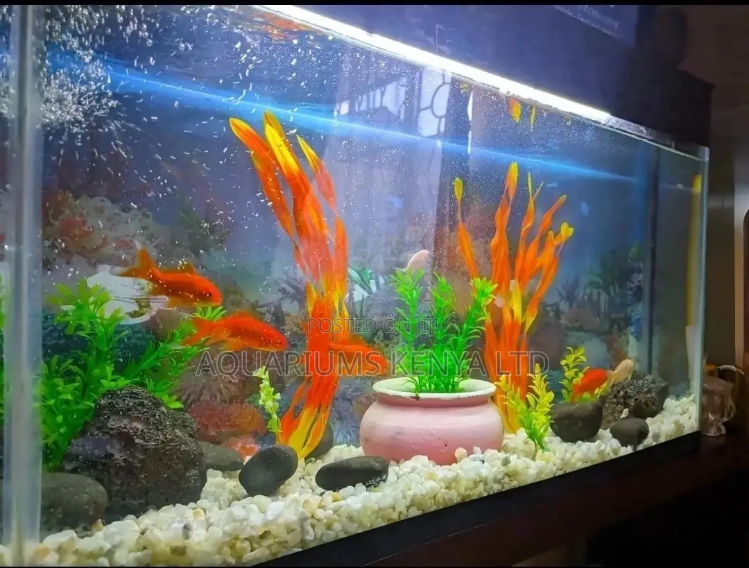 3ft Aquarium Tank, for Home or Office