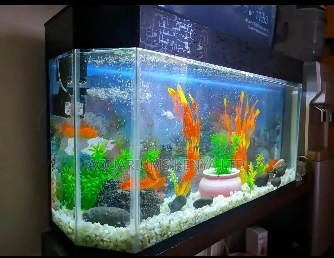 3ft Aquarium Tank, for Home or Office