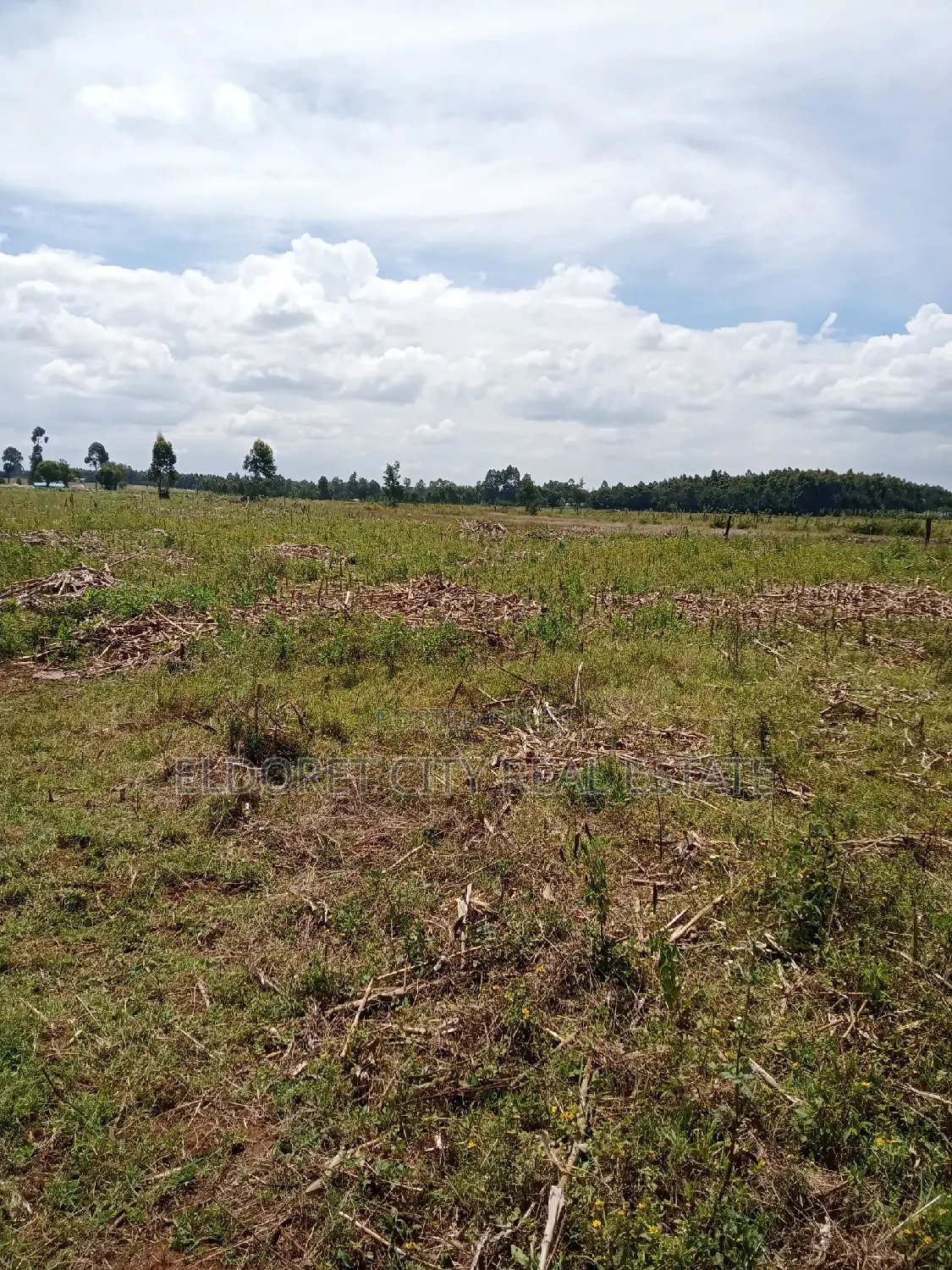 1/8 Plots Outspan Kiambaa