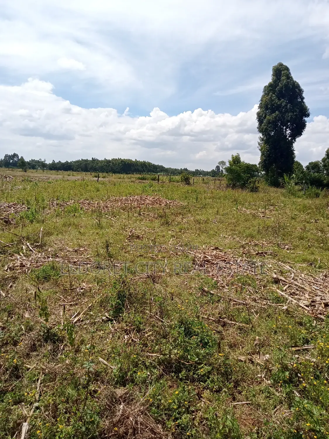 1/8 Plots Outspan Kiambaa