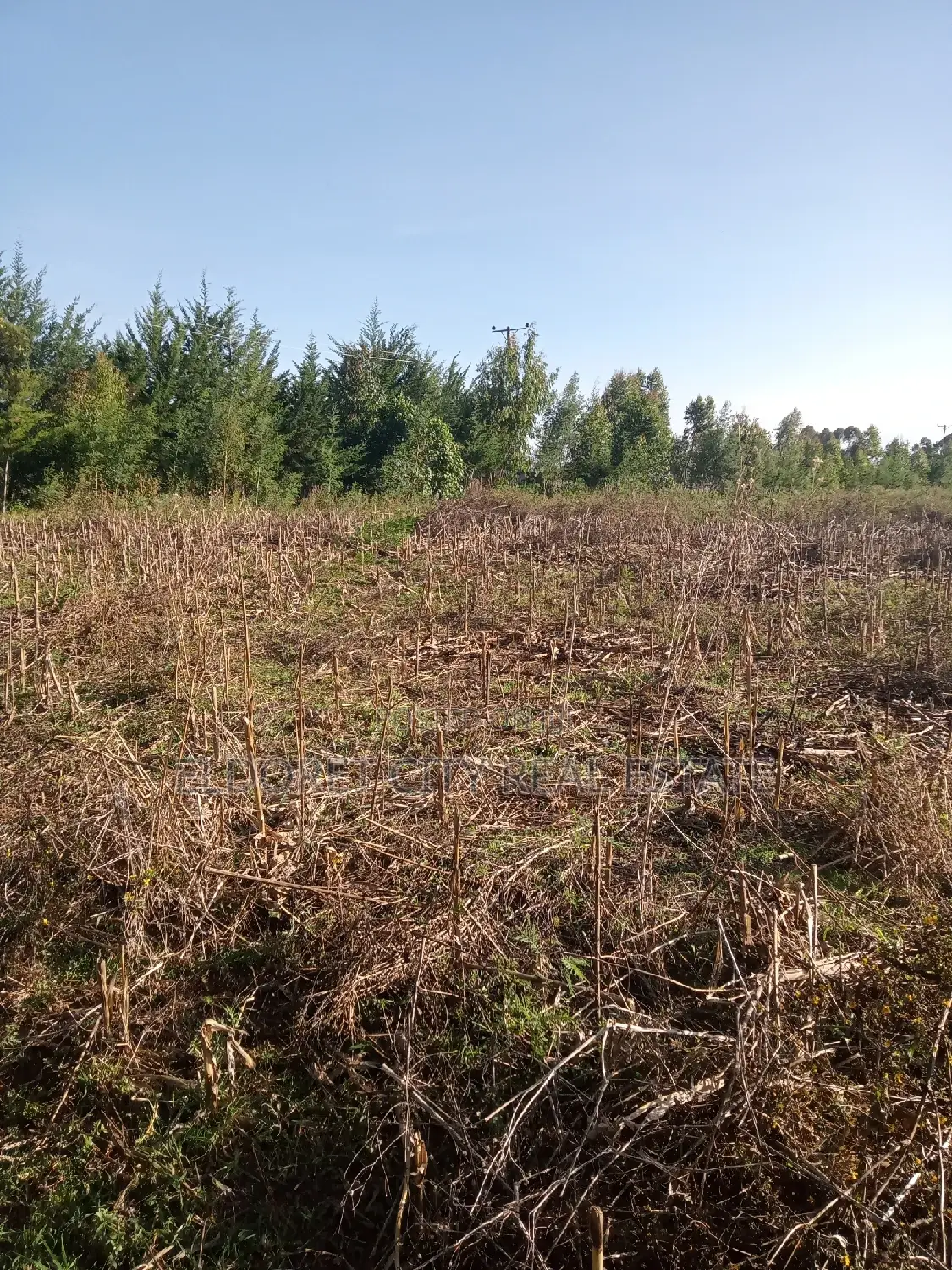 10 Acres of Land Outspan With Title.