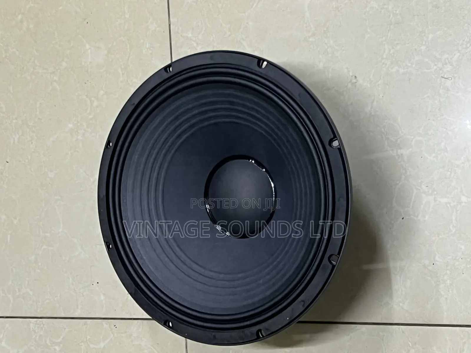 JBL 15 Inch Naked Speakers