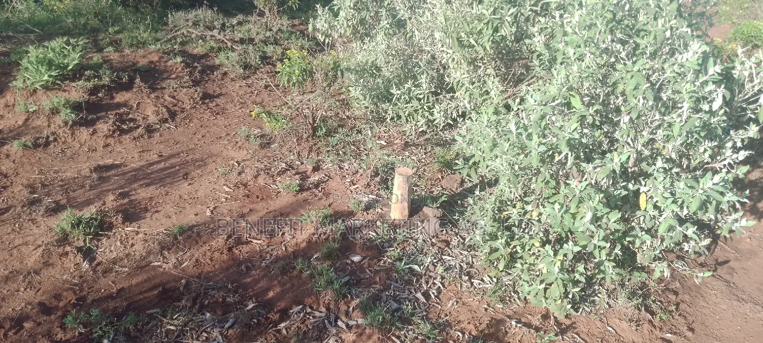 Plots for Sale in Ngong Kimuka.