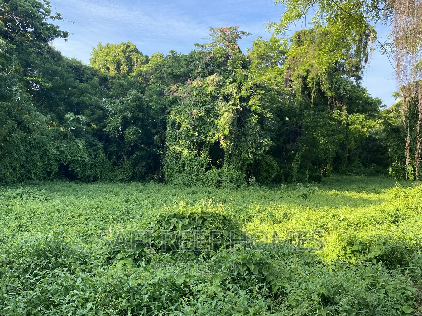 1 Acre Land for Sale in Nyali Greenwood