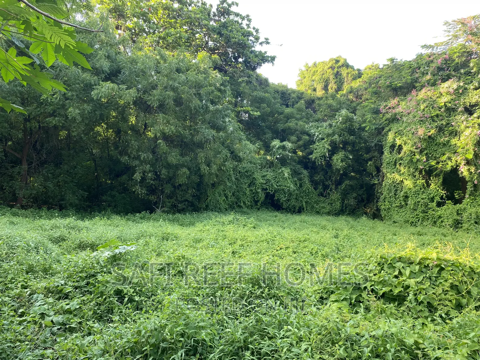 1 Acre Land for Sale in Nyali Greenwood
