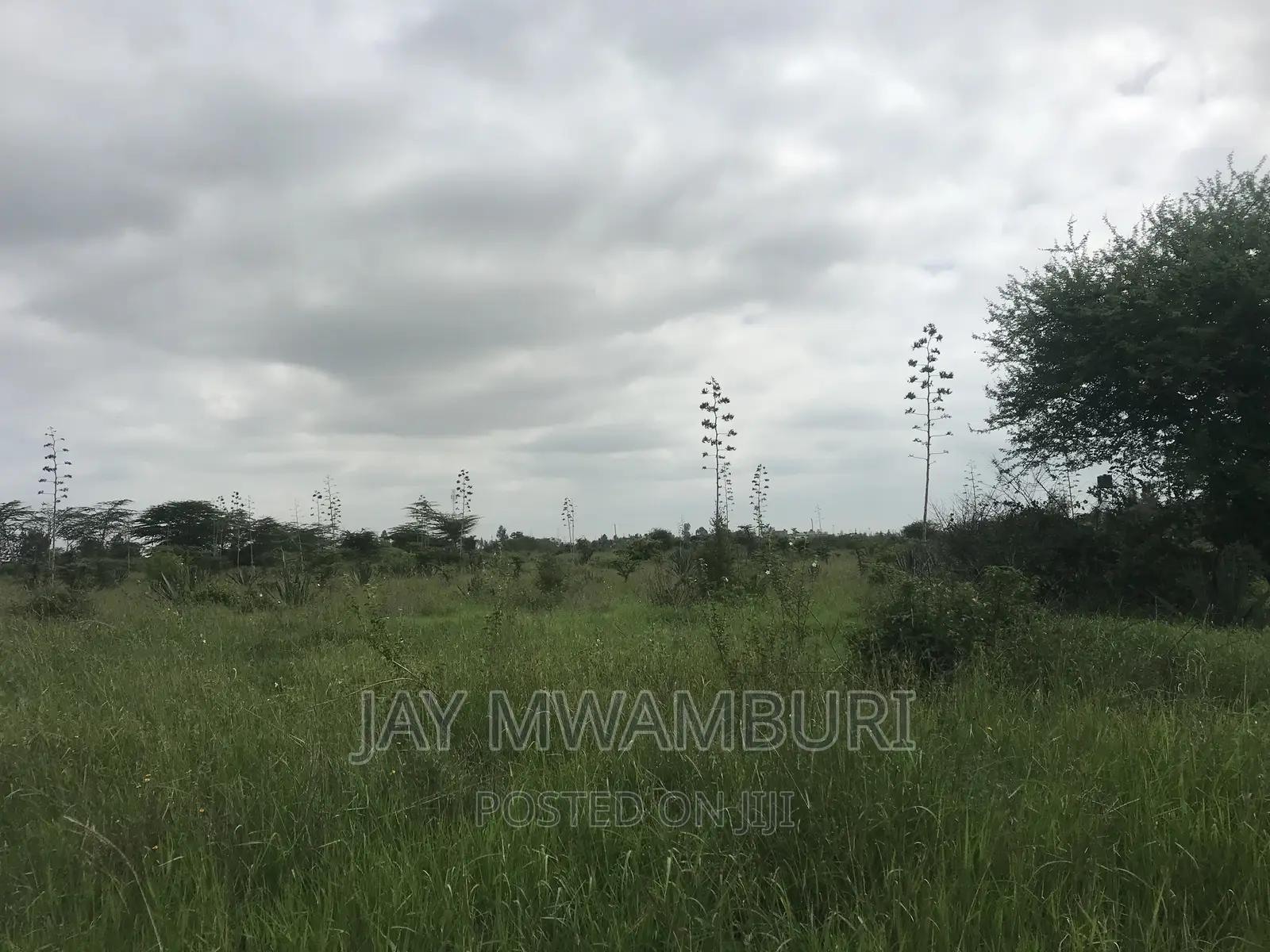 1acre Land Syokimau
