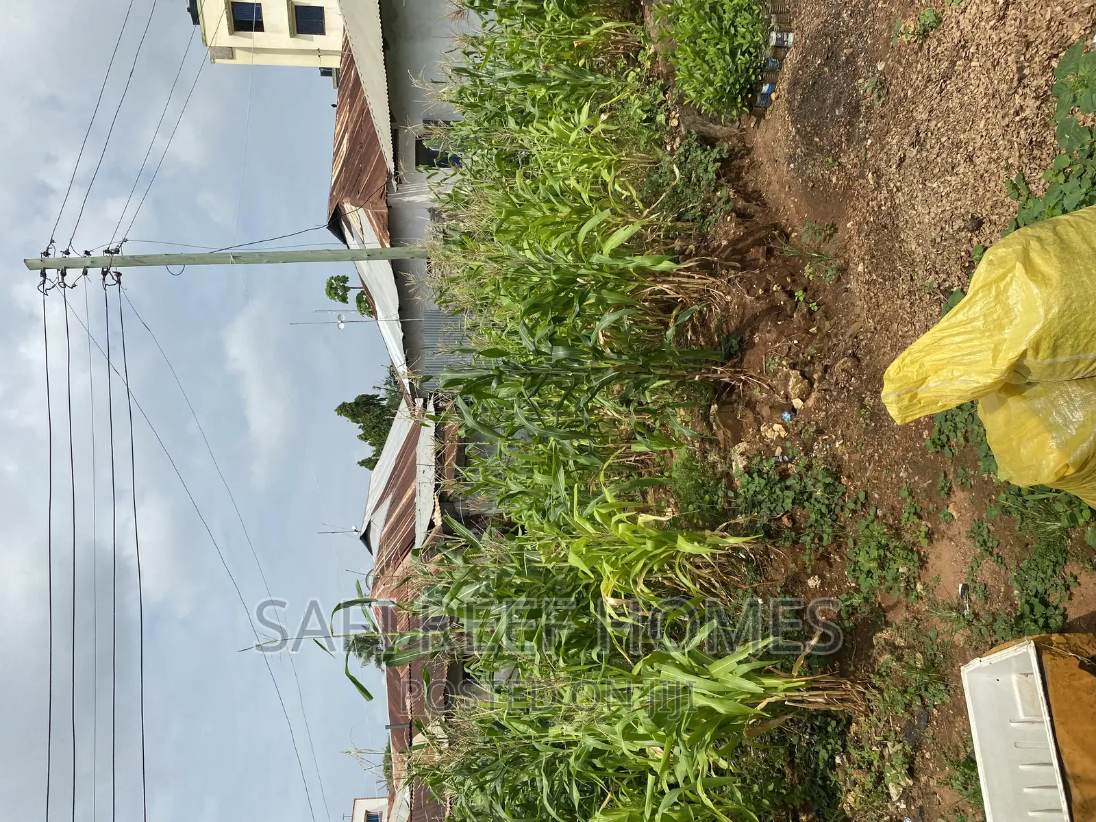 Plot for Sale Kongowea 40 by 70 With Tittle