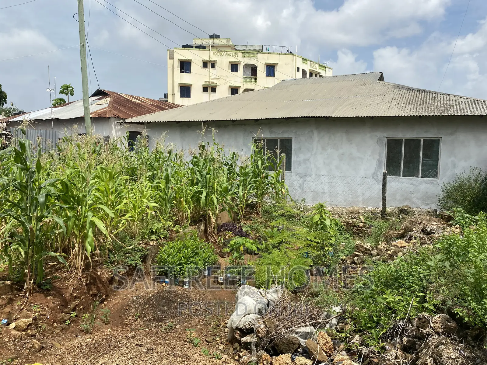 Plot for Sale Kongowea 40 by 70 With Tittle