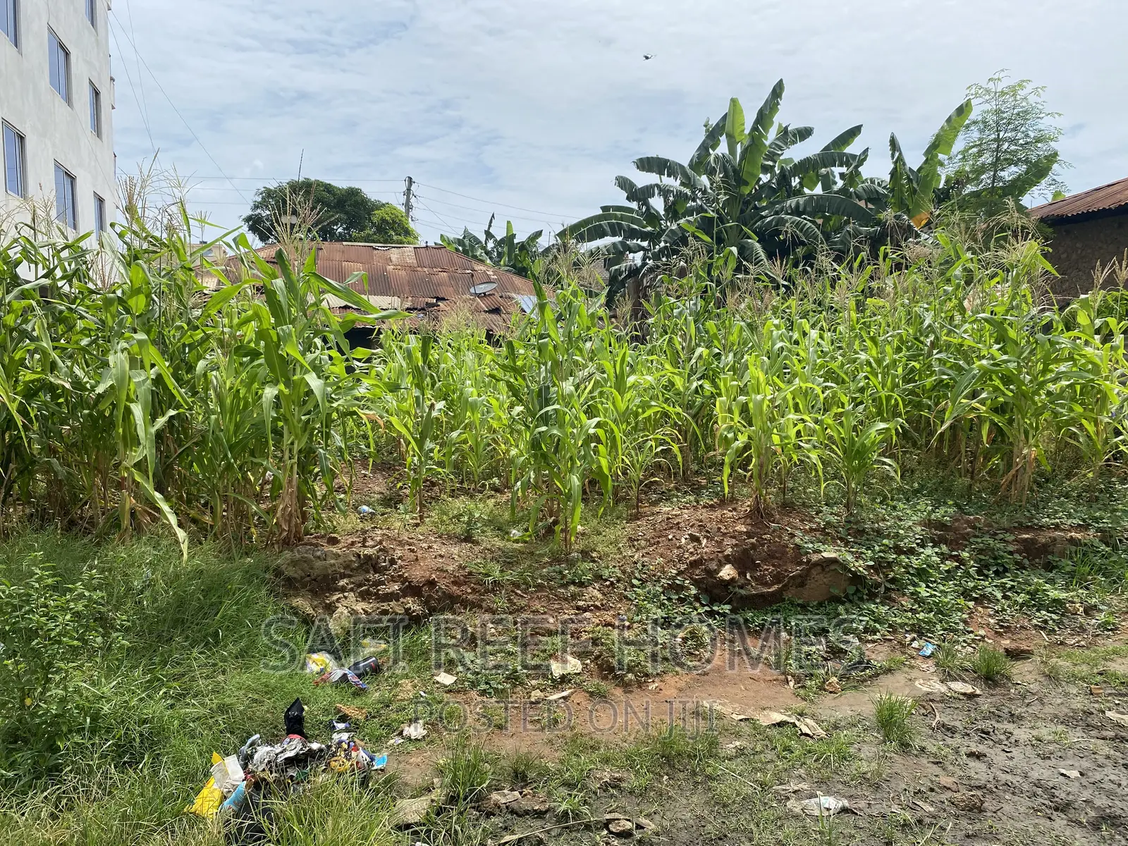 Plot for Sale Kongowea 40 by 70 With Tittle