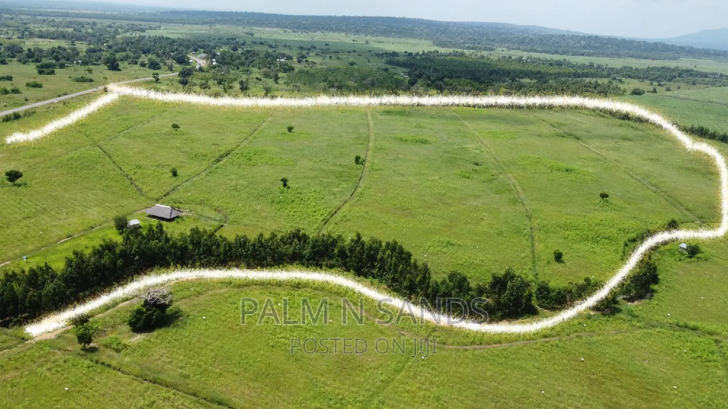 214 Acre Farmland in Majoreni