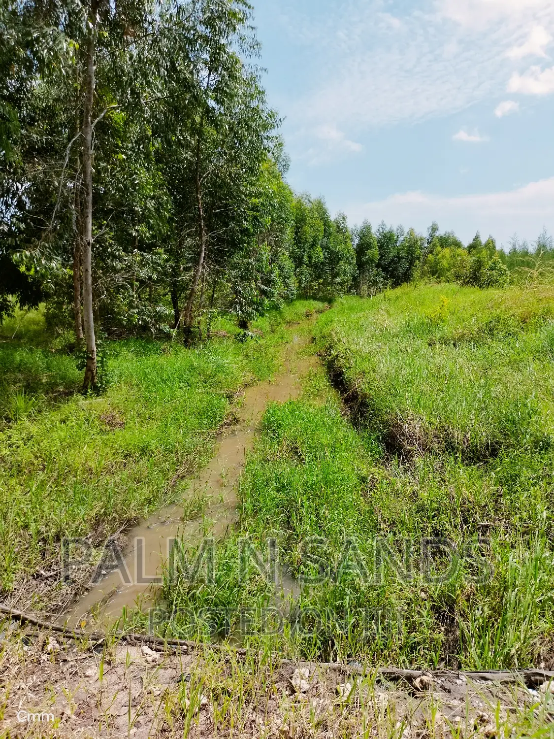 214 Acre Farmland in Majoreni