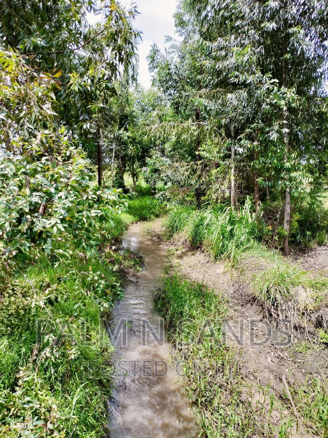 214 Acre Farmland in Majoreni