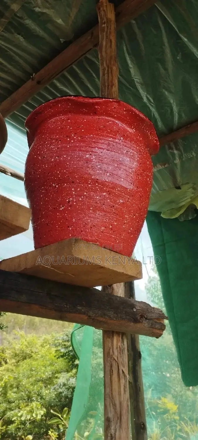 Small Flower Pots