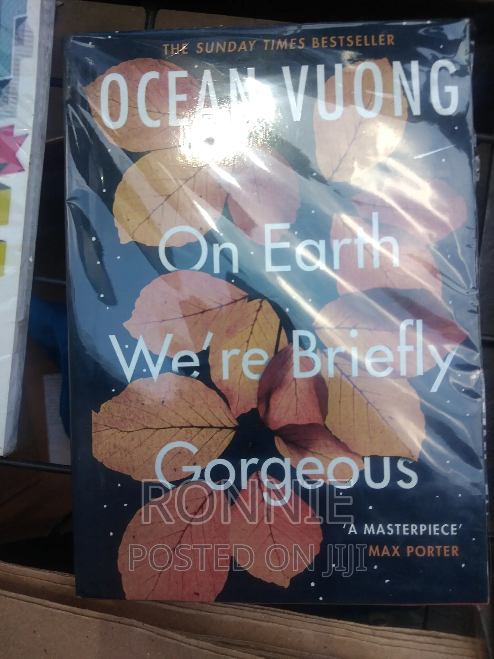 On Earth We're Briefly Gorgeous Novel by Ocean Vuong