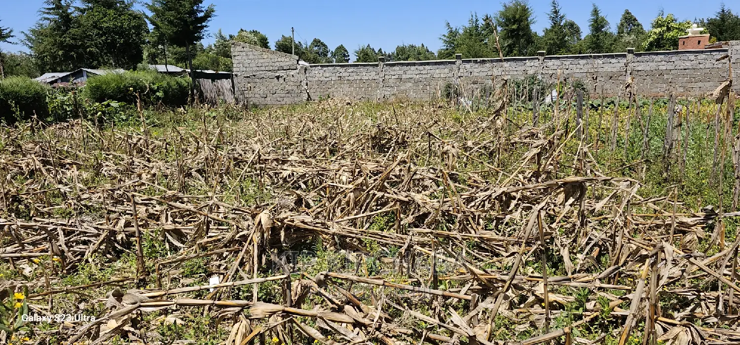 Reidentical Plot for Sale in Chepkanga Eldoret