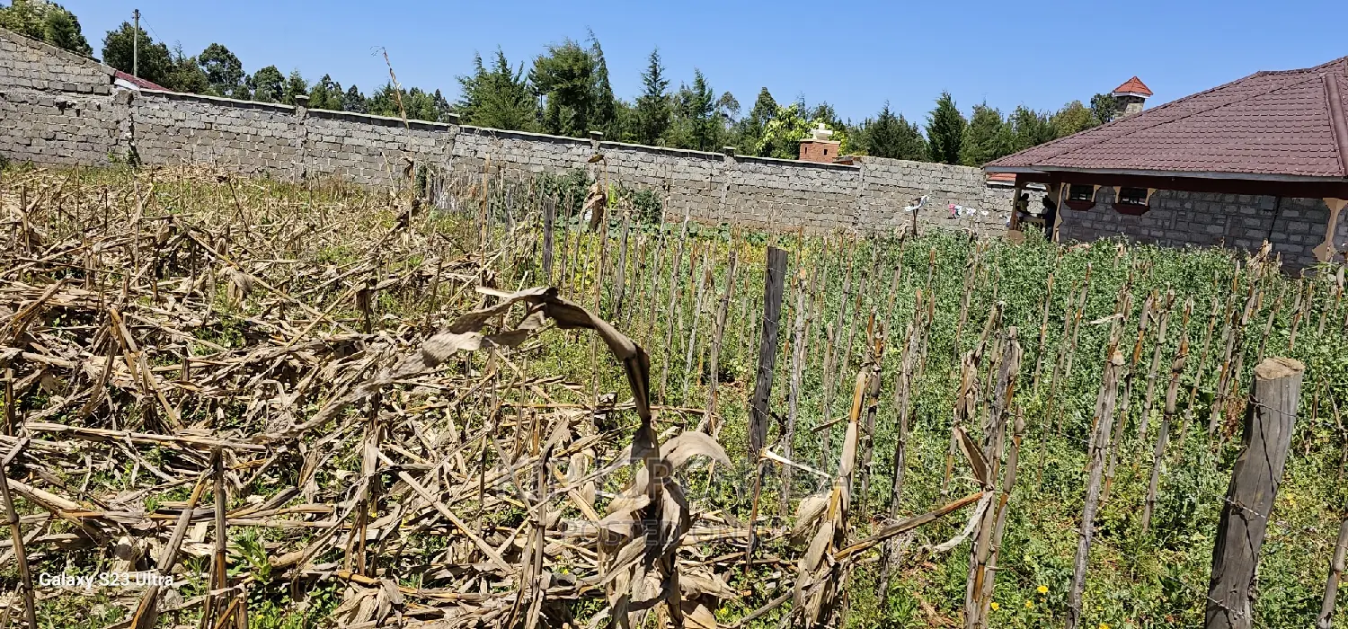 Reidentical Plot for Sale in Chepkanga Eldoret