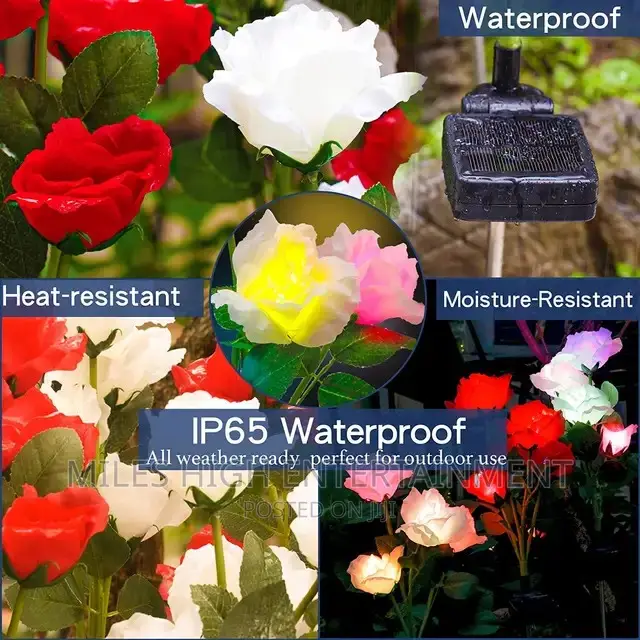 Decorative Christmas Lights for Outdoor Solar Powered
