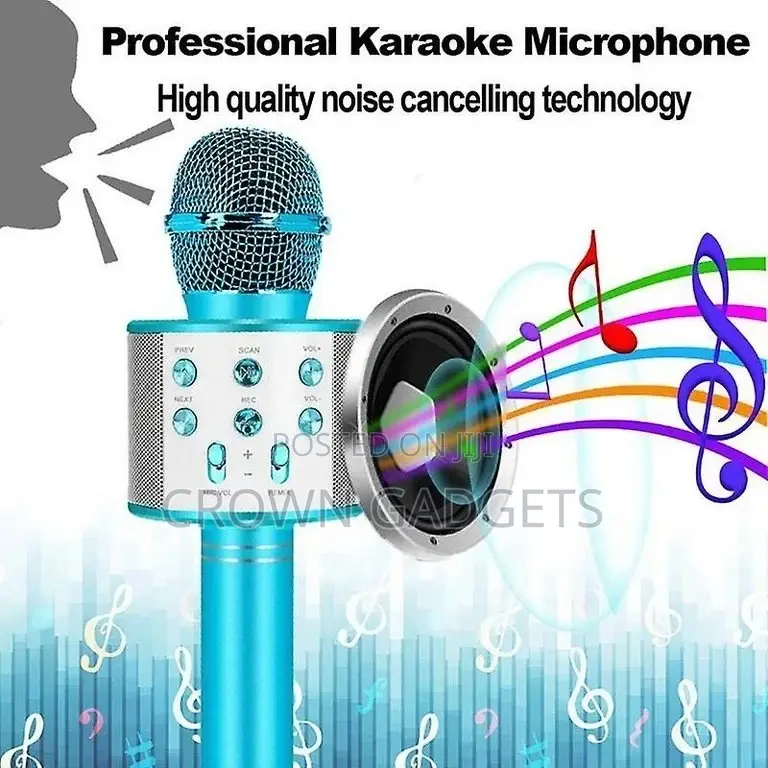 Bluetooth Karaoke Portable Wireless