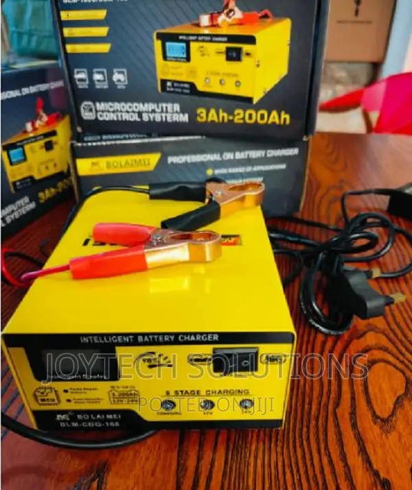 Smart Car Batterry Charger/ 12v/24v