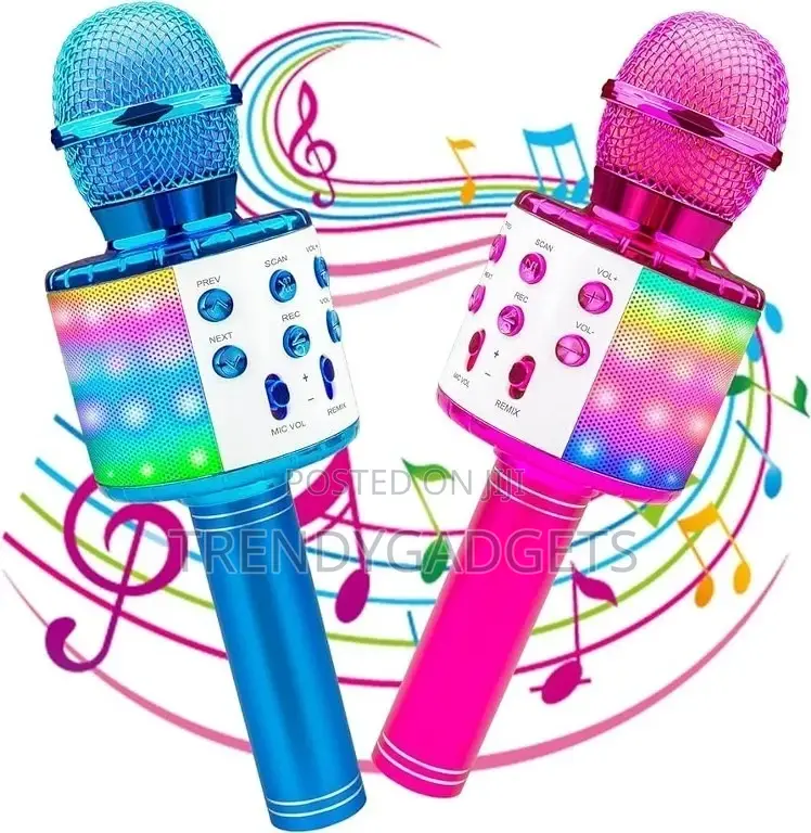 Portable Handheld Karaoke Mic